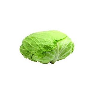 ملفوف ابيض اردني مسطح