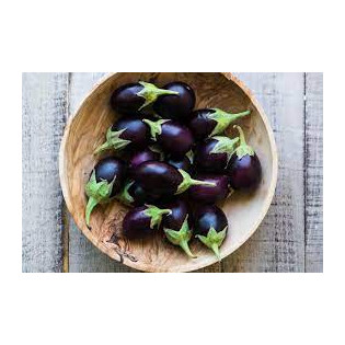 EGGPLANT BABY