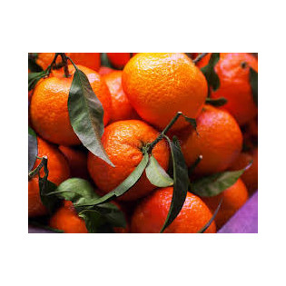 MANDARINE SPAN