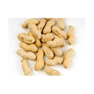 فول سوداني