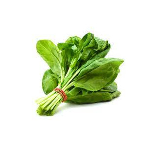SPINICH