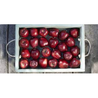 APPLE RED AMERICA TRAY 3 TO 4 KG