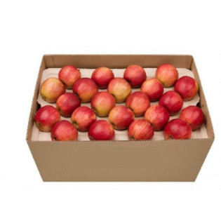 APPLE ROYAL GALA 18 KG BOX