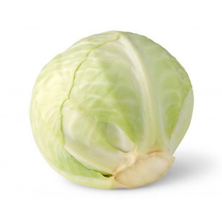 CABBAGE WHITE