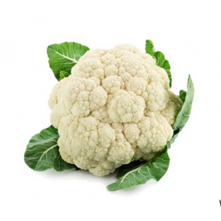 زهرة