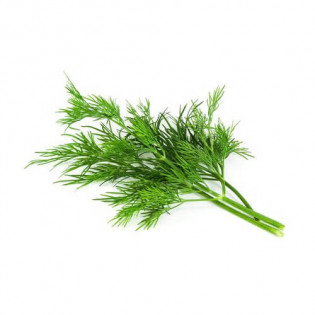DILL LEAVES