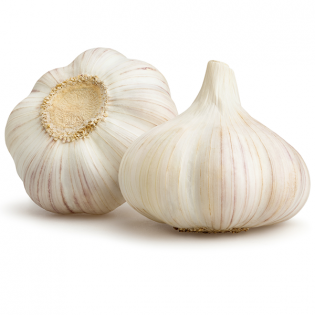 GARLIC