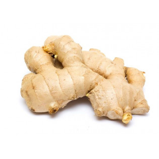 GINGER