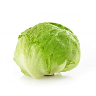 ICE BURGE