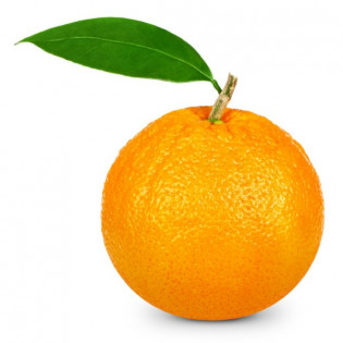 أبوصرة