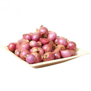 ONION BABY INDIA