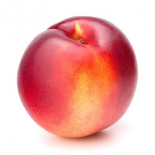 نكترين