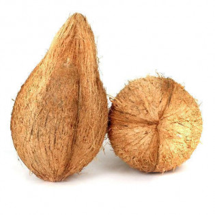 جوز هند مبروش