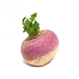 كيس لفت