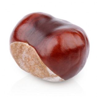 كستنا