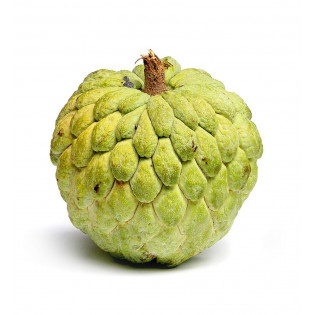 SITAFAL (SHARIFA)