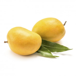 MANGO ALPHONSO INDIAN