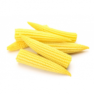 ذرة صغيرة