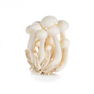 MUSHROOM SHIMJI WHITE