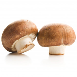 MUSHROOM BROWN